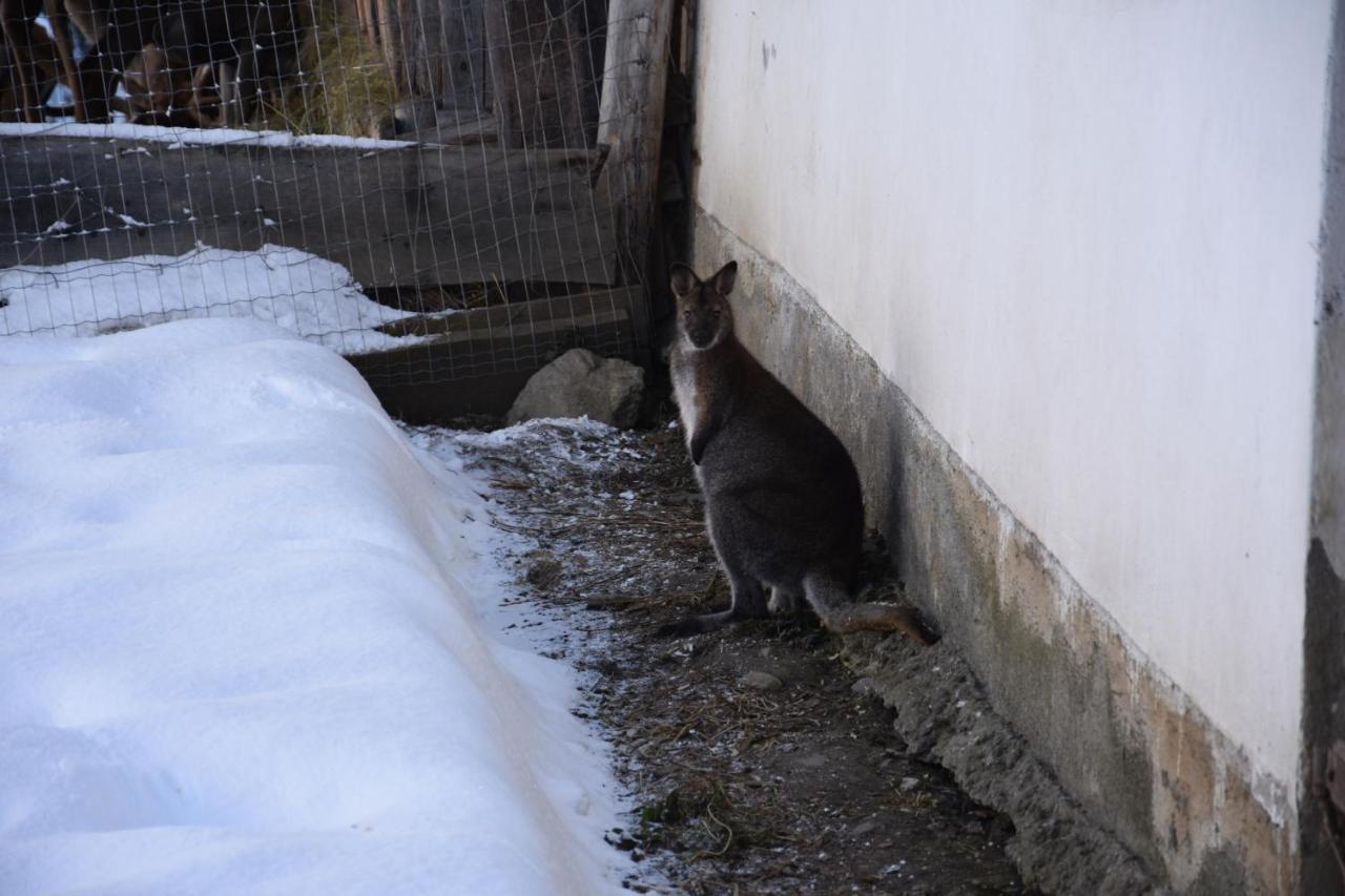 Krobath Apartamento Murau