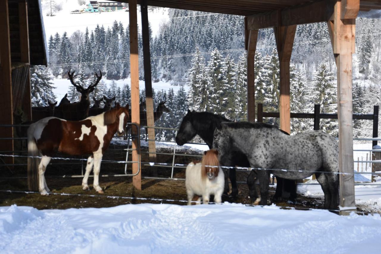 Krobath Apartment Murau