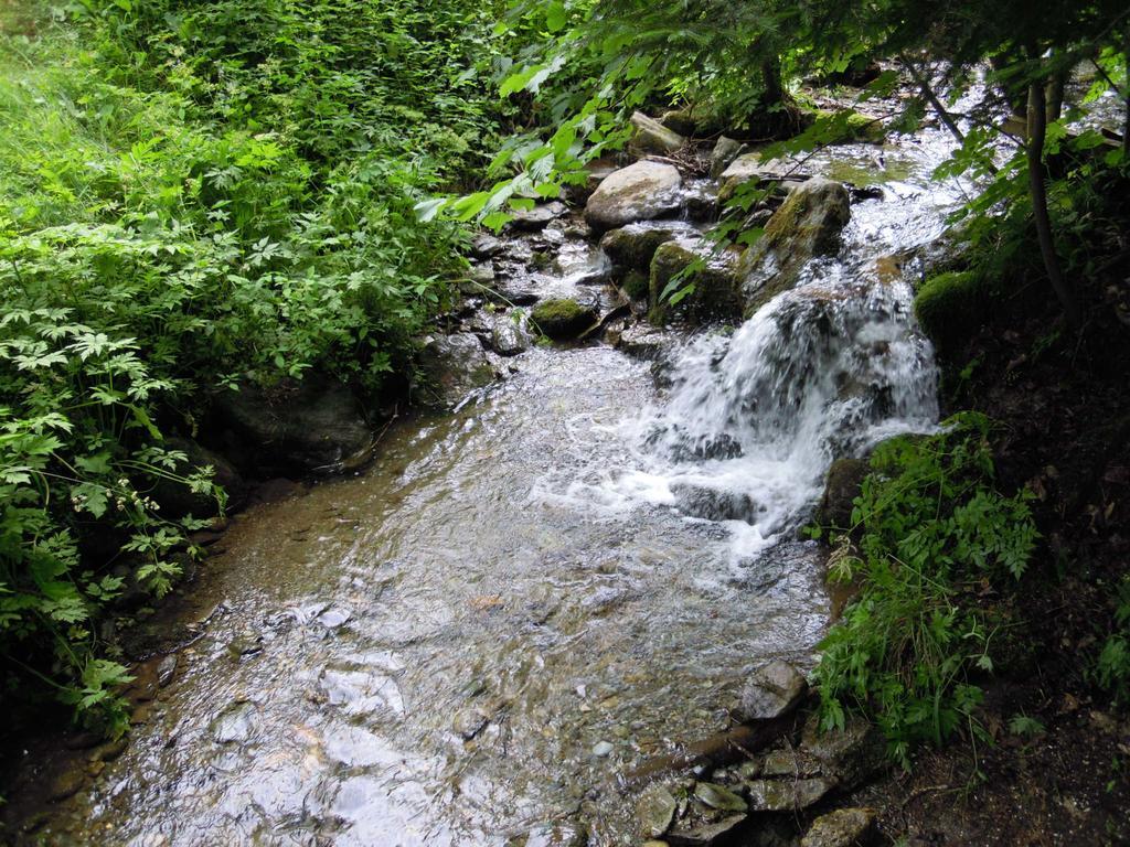 Krobath Murau