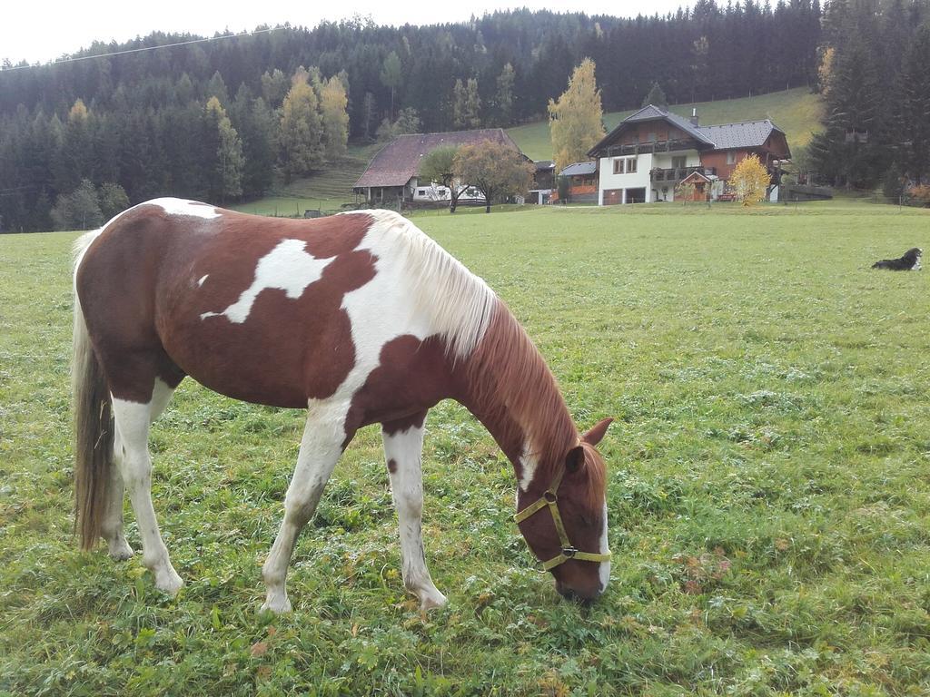 Krobath Murau